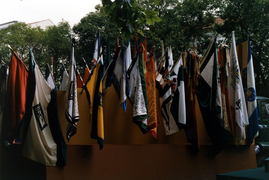 6º dia da limpeza : bandeiras