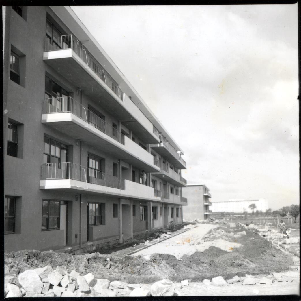 Bairro da Agra do Amial : construção : 1959-1960