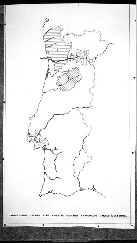 [Mapas de Portugal : Regiões Vinhateiras]