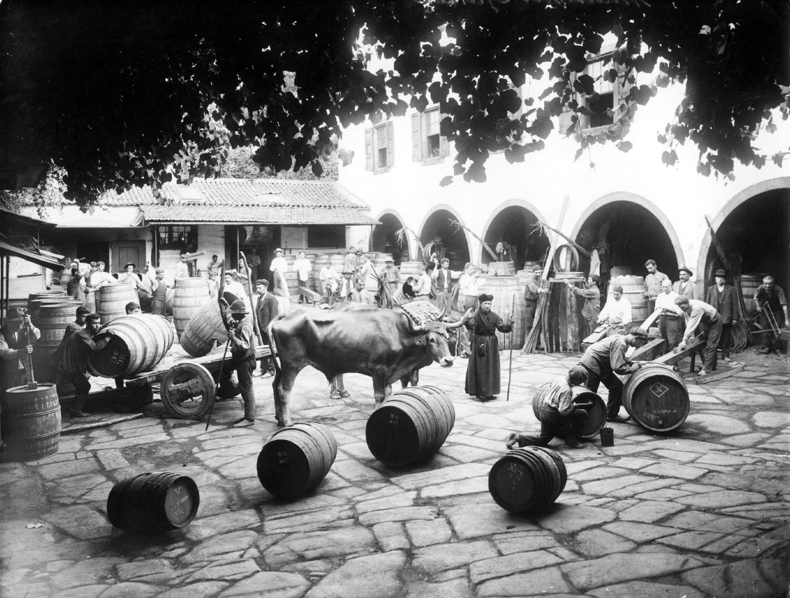 Casa Martinez Gassiot: carros de bois carregando pipas de vinho