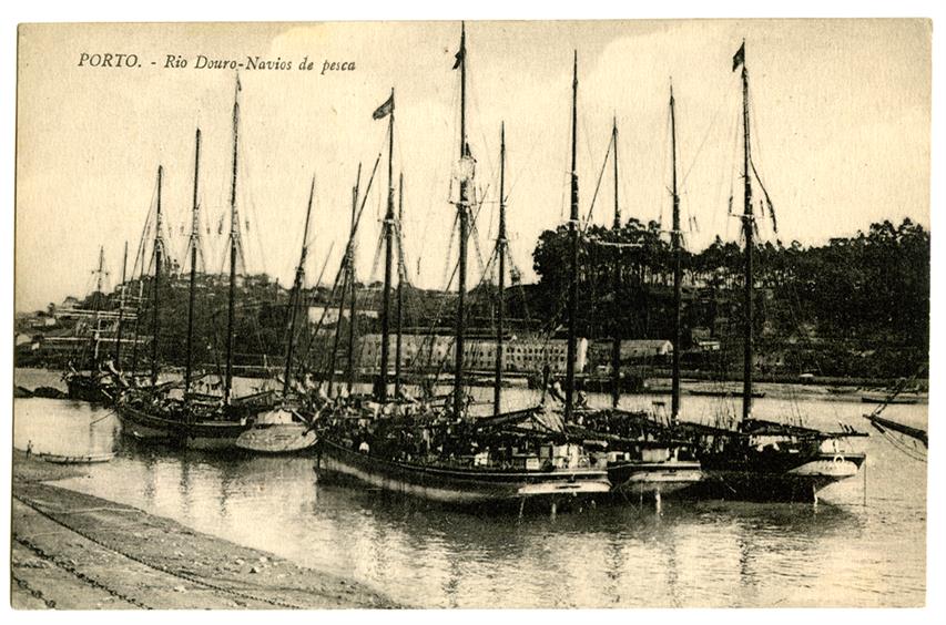 Porto : Rio Douro : Navios de pesca
