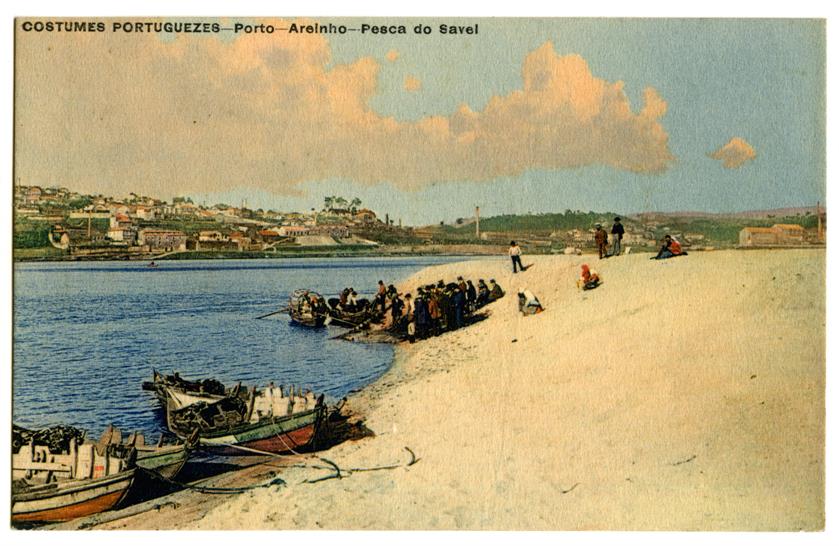 Costumes portugueses : Porto : Areínho : pesca do sável