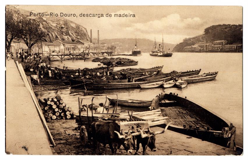 Rio Douro : descarga de madeira