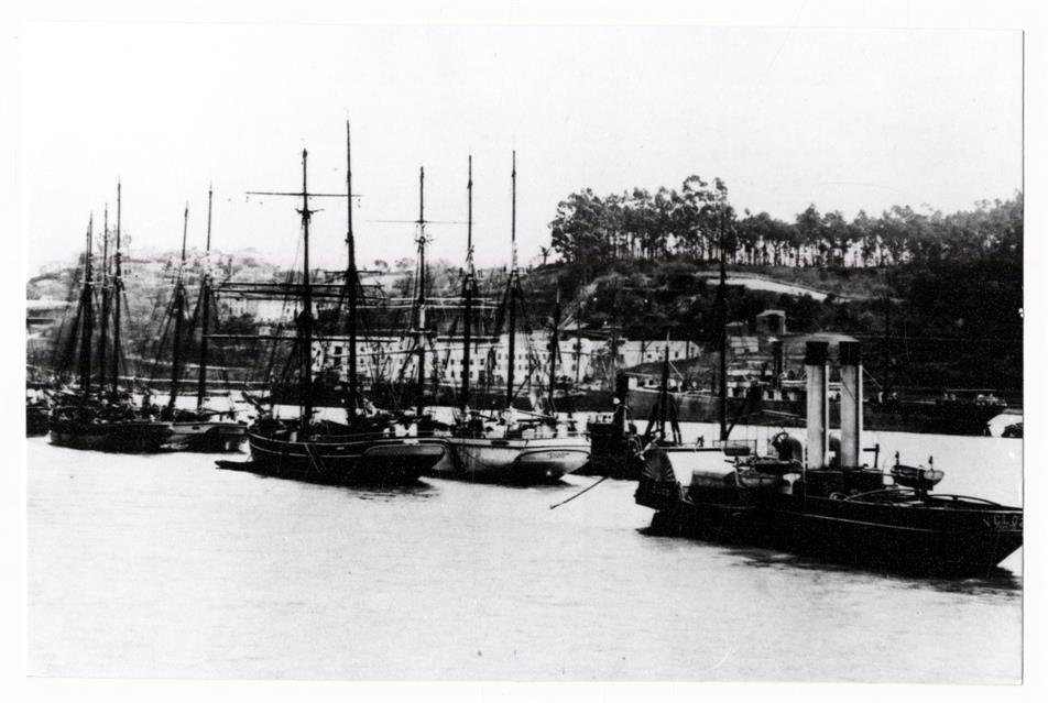 Bacalhoeiros e rebocador no Douro : 1908