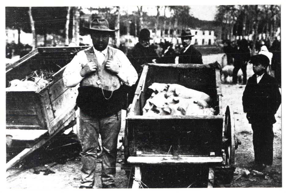 Um vendedor de porcos na Feira dos Moços : 1913