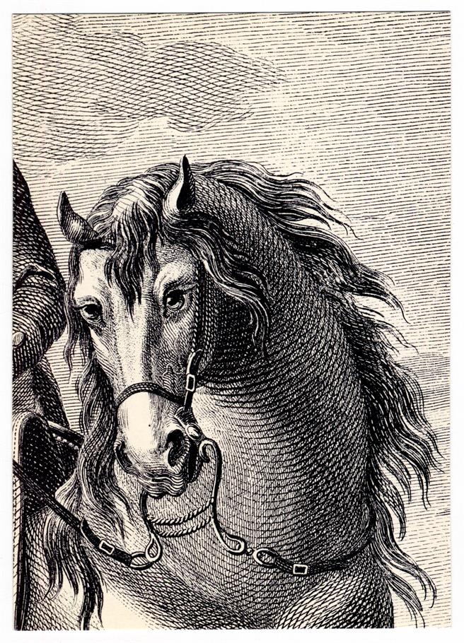 Pormenor de gravura do livro «Luz da Liberal e Nobre Arte de Cavalaria» Séc XVIII