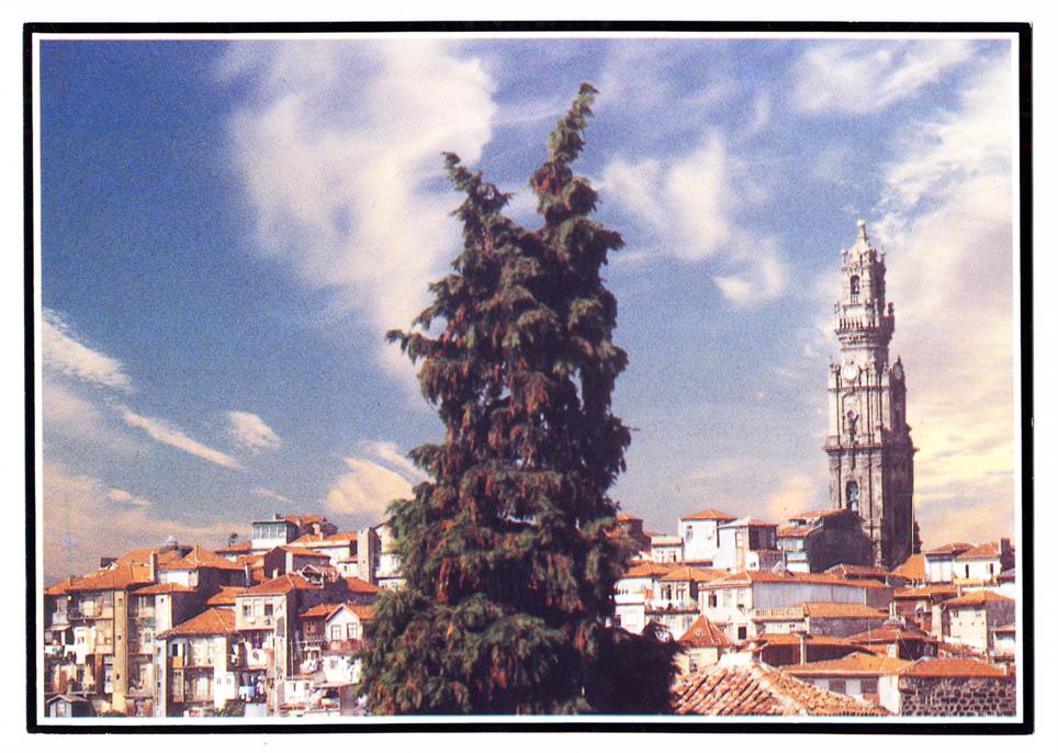 Porto : minha cidade : Torre dos Clérigos