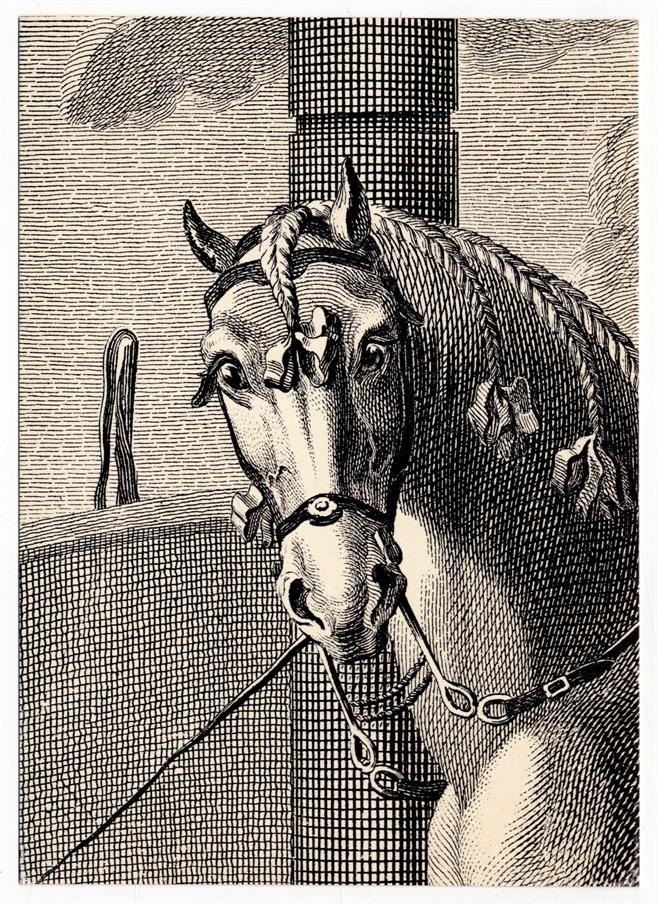 Pormenor de gravura do livro «Luz da Liberal e Nobre Arte de Cavalaria» Séc XVIII