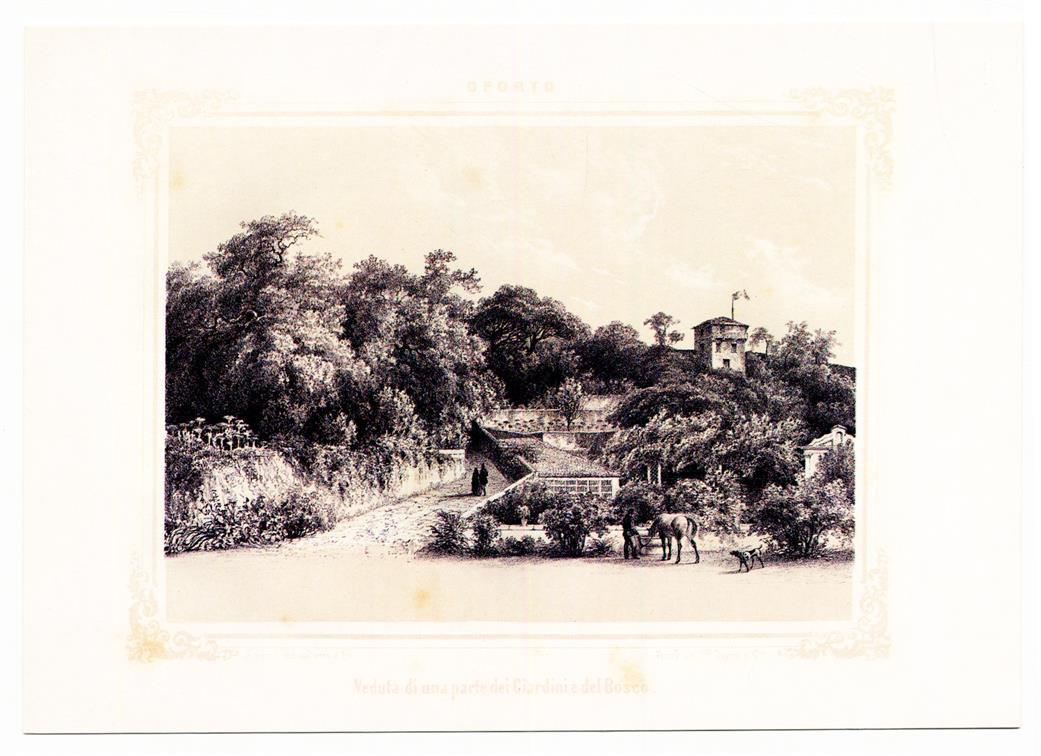 Veduta di una parte dei Giardini e del Bosco : Rimembranze di Oporto, 1851