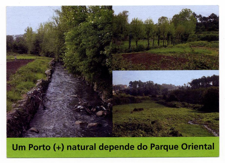 Um Porto(+) natural depende do Parque Oriental