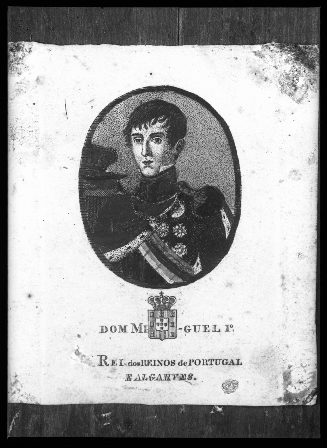 Dom Miguel I : rei de Portugal e Algarves