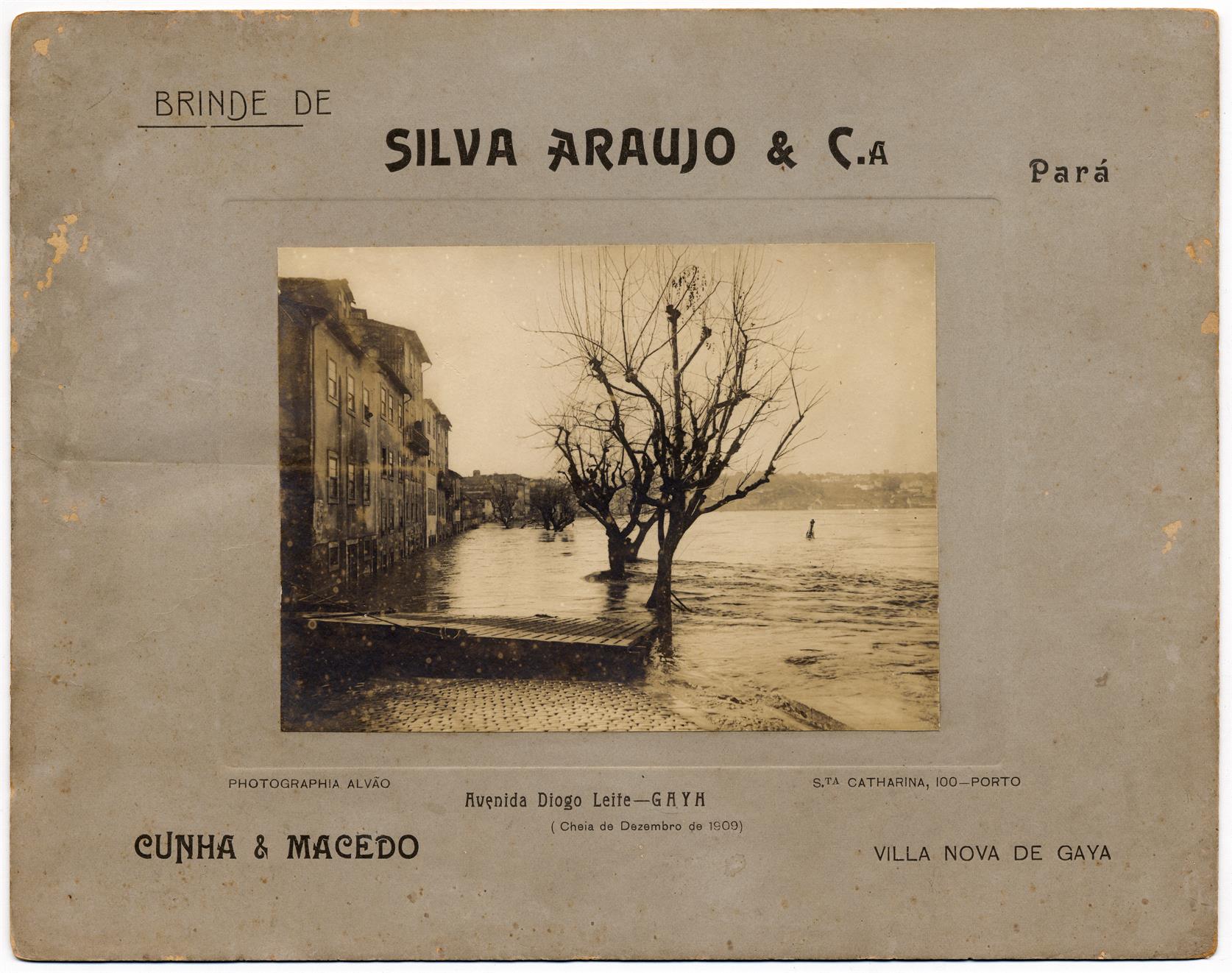 Cheia de Dezembro de 1909 : Avenida Diogo Leite : Gaia