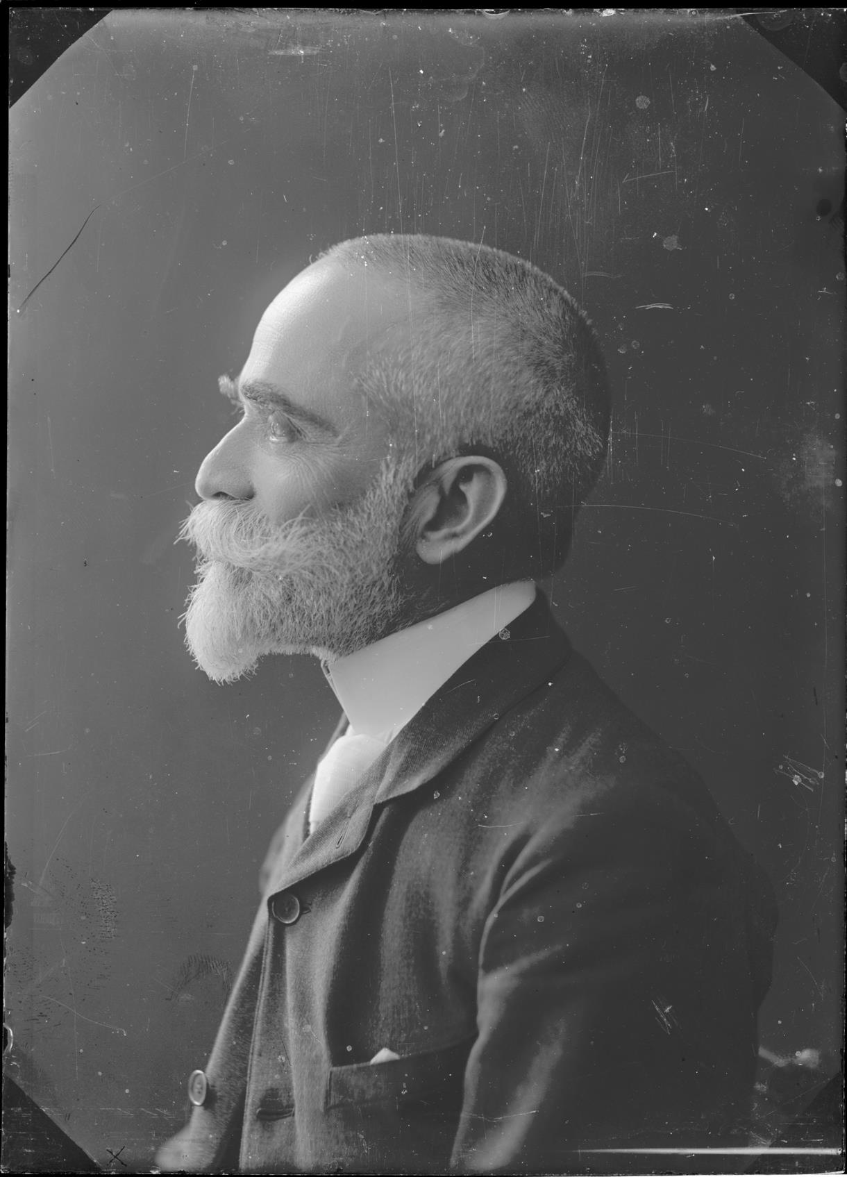 Retrato do Dr. Bernardino Machado