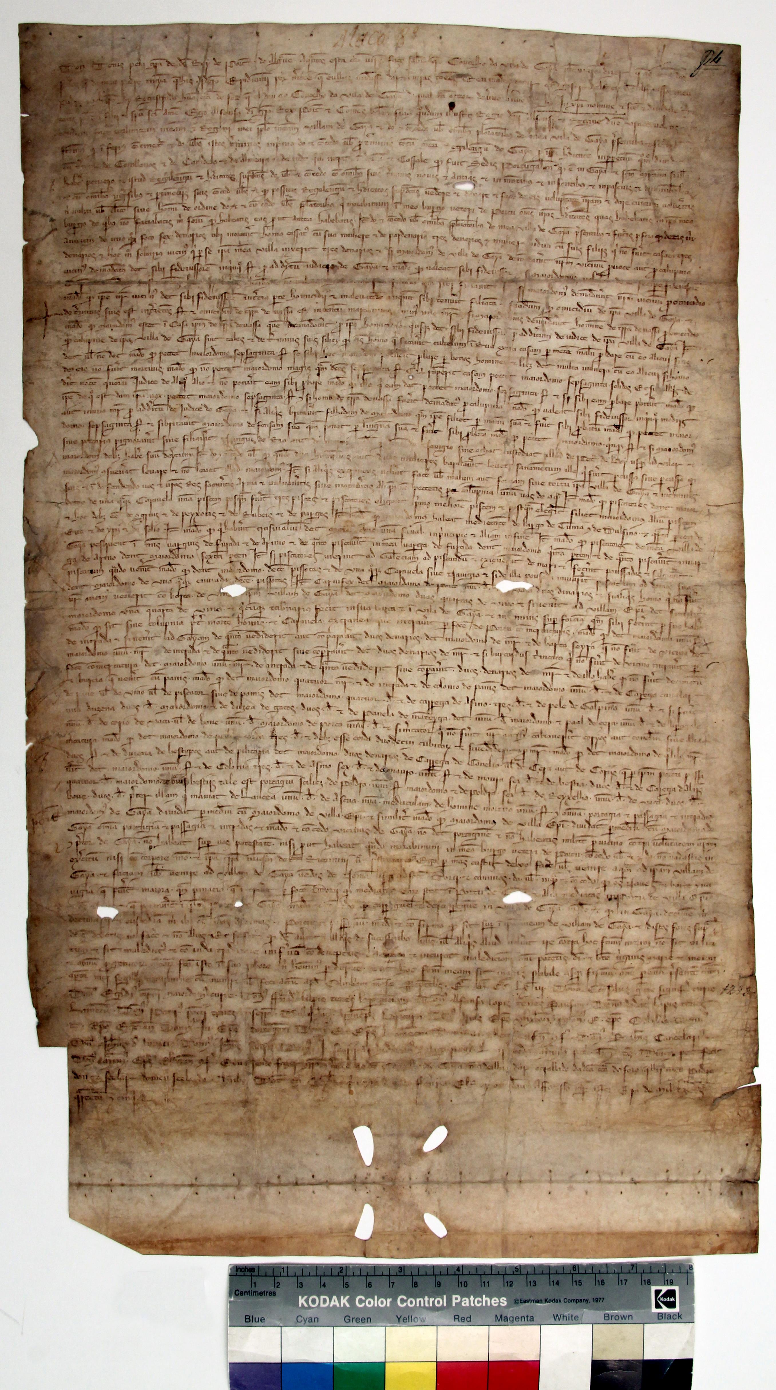 [Traslado da carta de foral concedida à vila de Gaia por D. Afonso III]