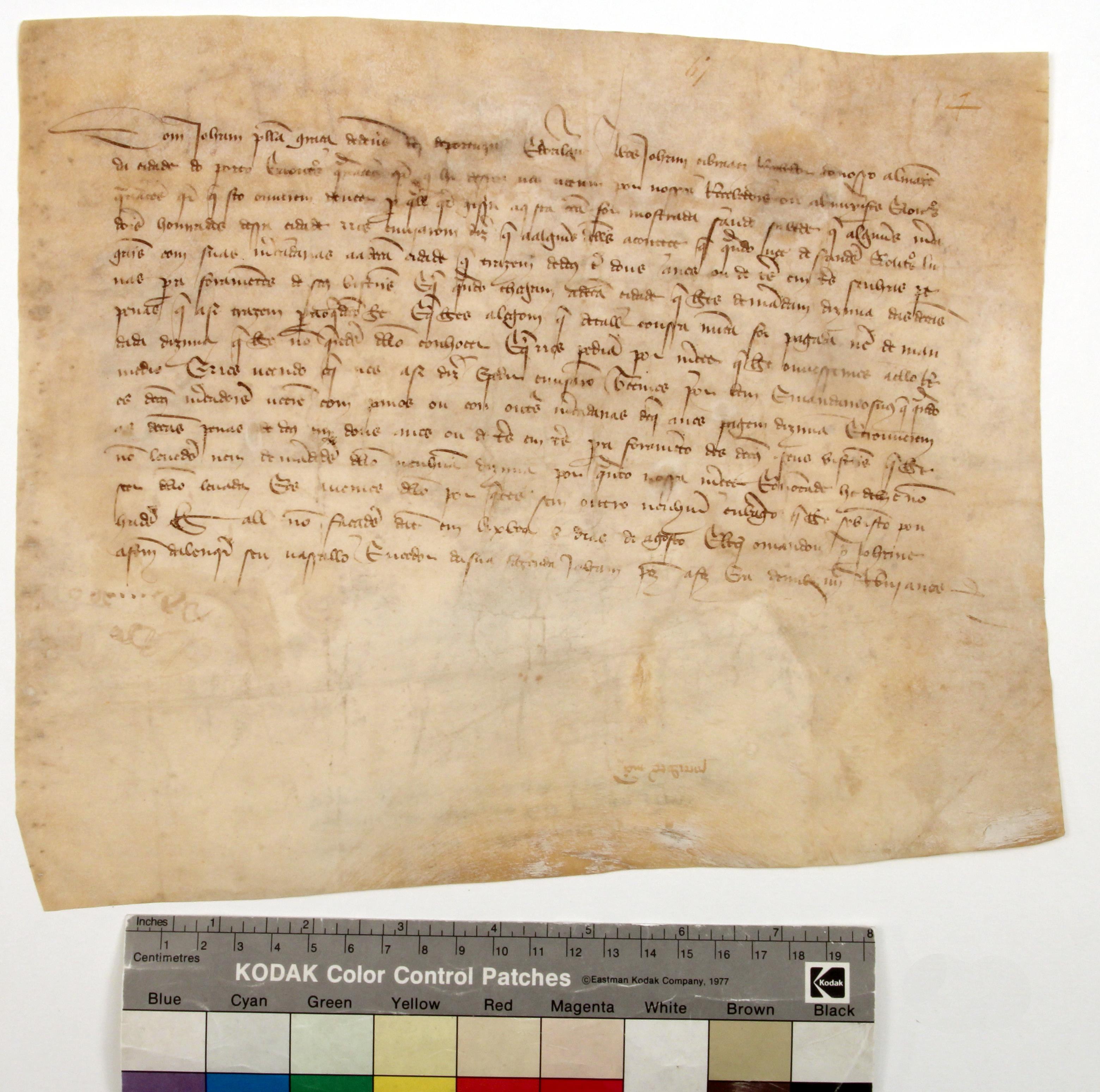 [Carta de D. João I a João Cibrães, recebedor do armazém do Porto, isentando os mercadores do Porto do pagamento da dízima sobre penas para vestuário]