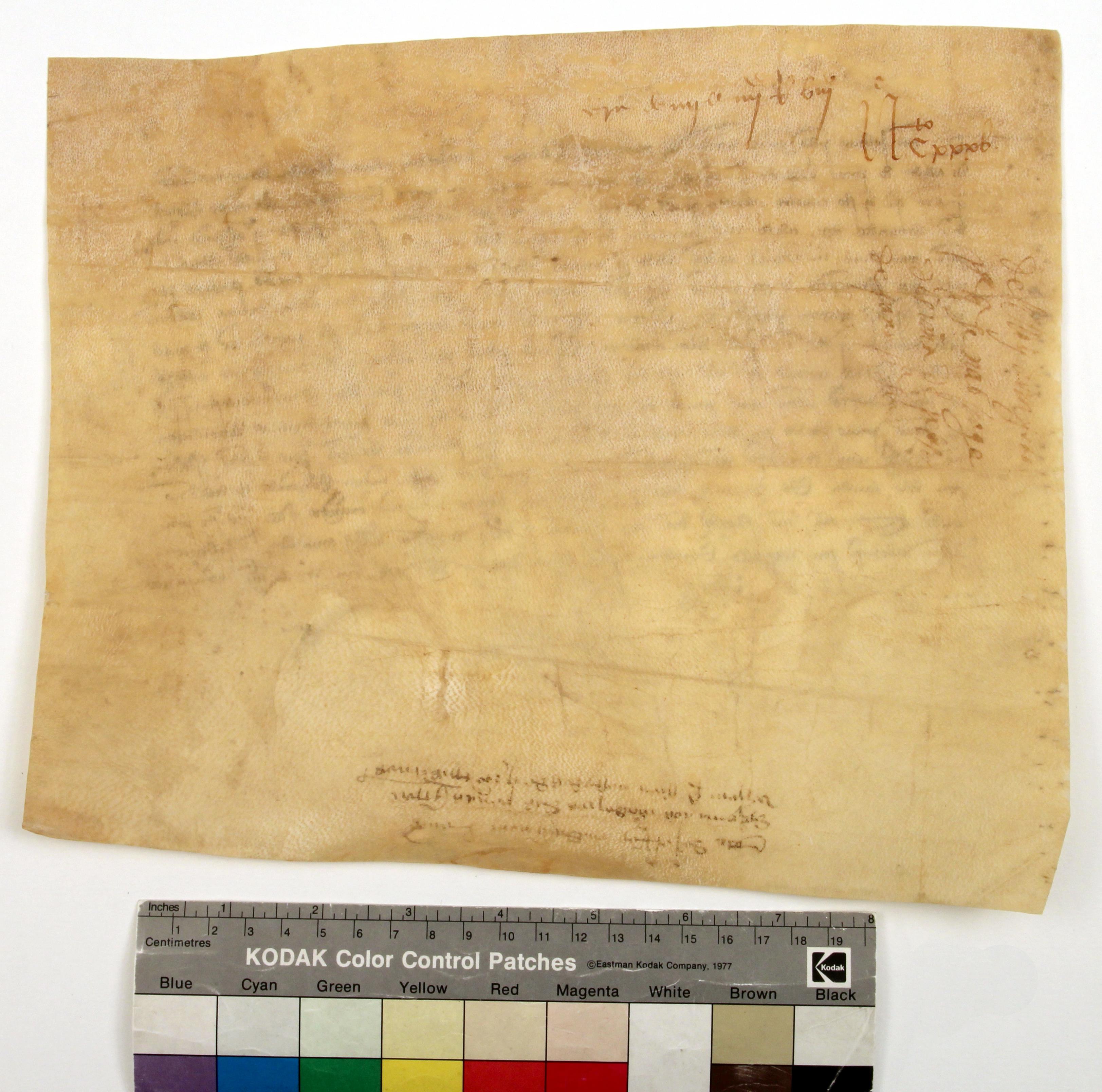 [Carta de D. João I a João Cibrães, recebedor do armazém do Porto, isentando os mercadores do Porto do pagamento da dízima sobre penas para vestuário]