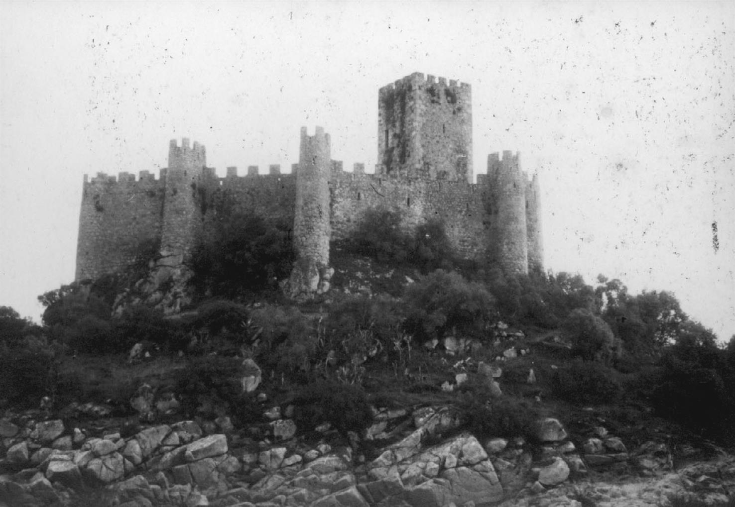 Almourol : concelho de Vila Nova da Barquinha : vista geral do castelo, lado norte
