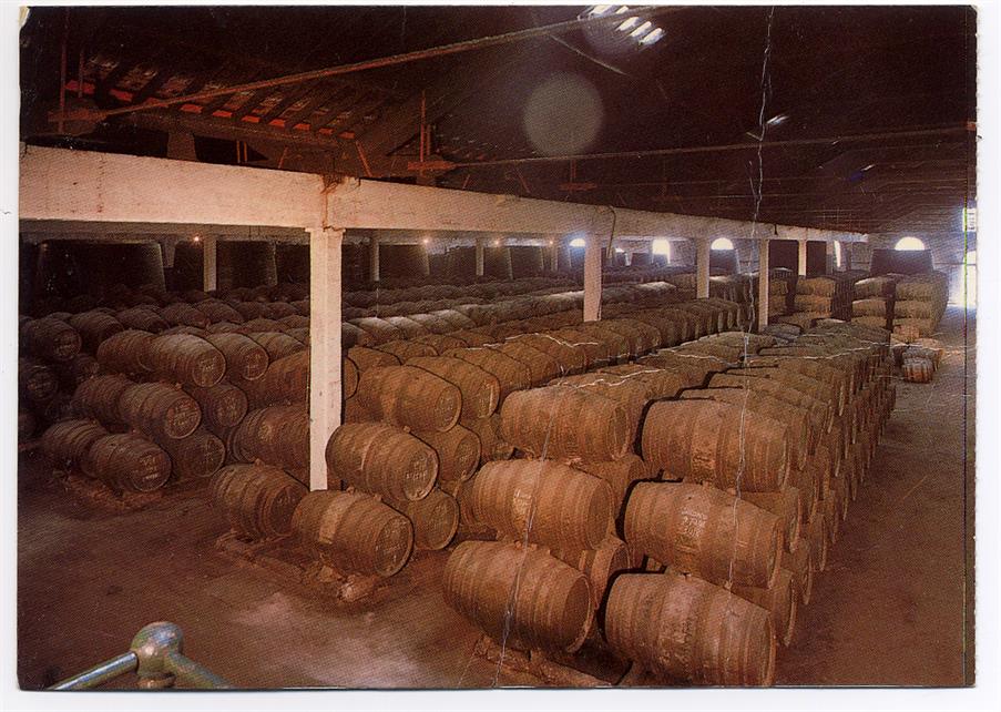 Real Companhia Vinícola do Norte de Portugal 