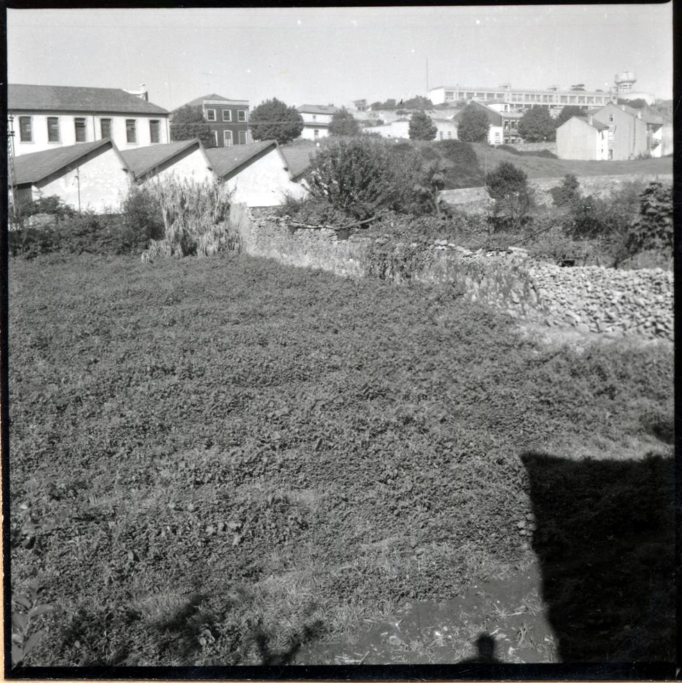 Bairro de São Roque da Lameira : terrenos : 1960