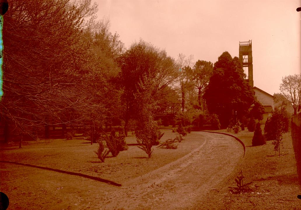 [Casa Andresen : Jardim Botânico do Porto : arboreto]