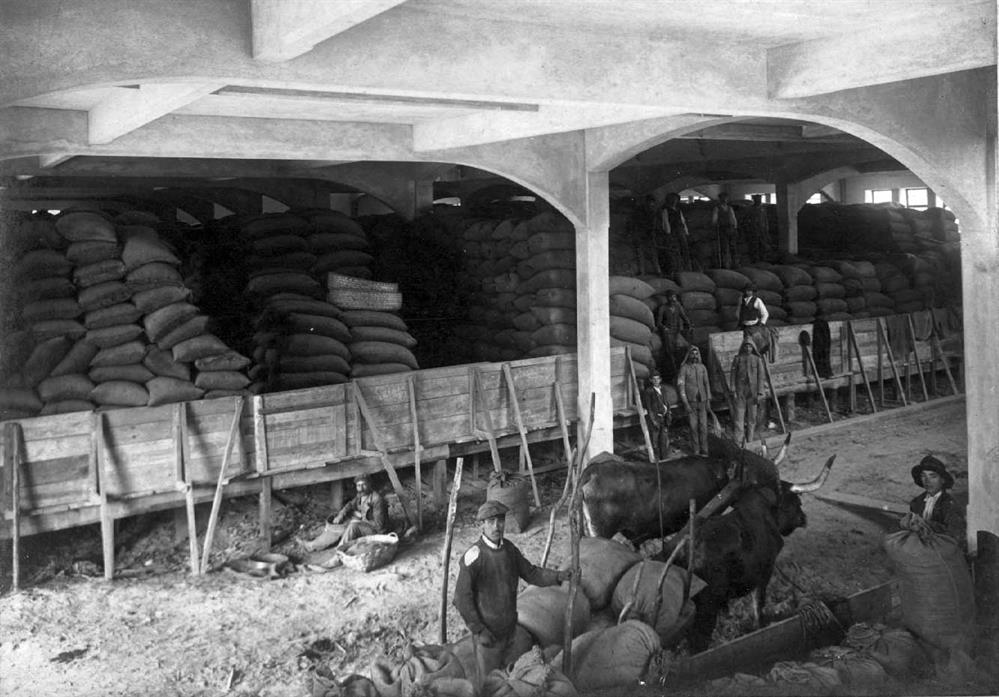 Crise alimentícia de 1916 - 1917 : Comissão de Subsistências : Matadouro da Corujeira