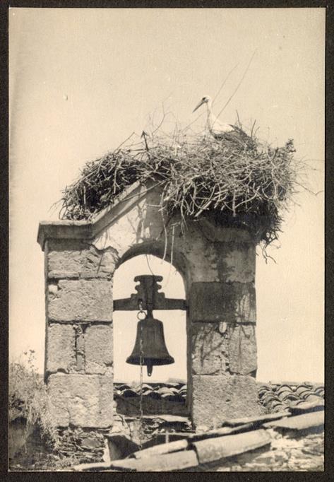 Rosmaninhal : concelho de Idanha-a-Nova um ninho de cegonhas sobre o campanário da igreja