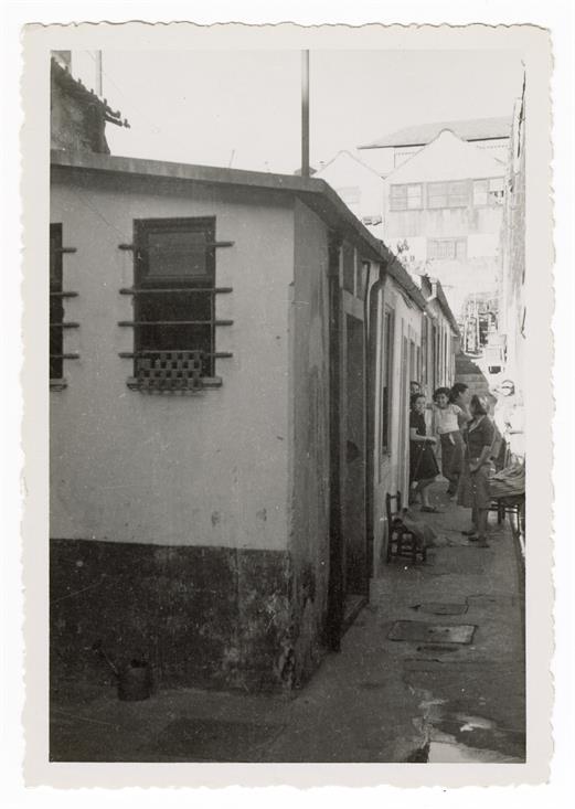 Rua de São Vítor, 80 : "Ilha"