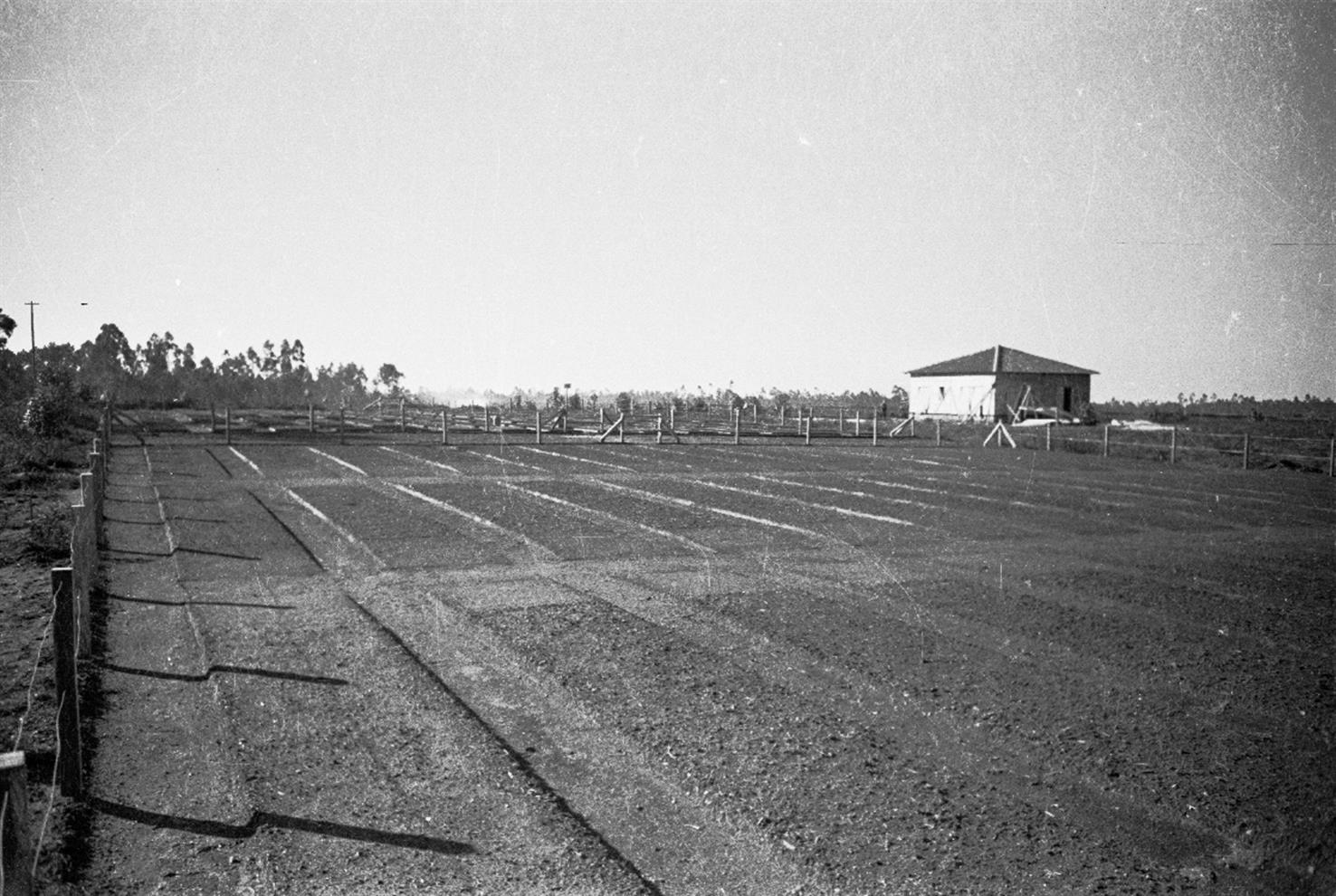 [Construção do Aeródromo de Pedras Rubras : campo de ensaio de adaptação ao relvado]