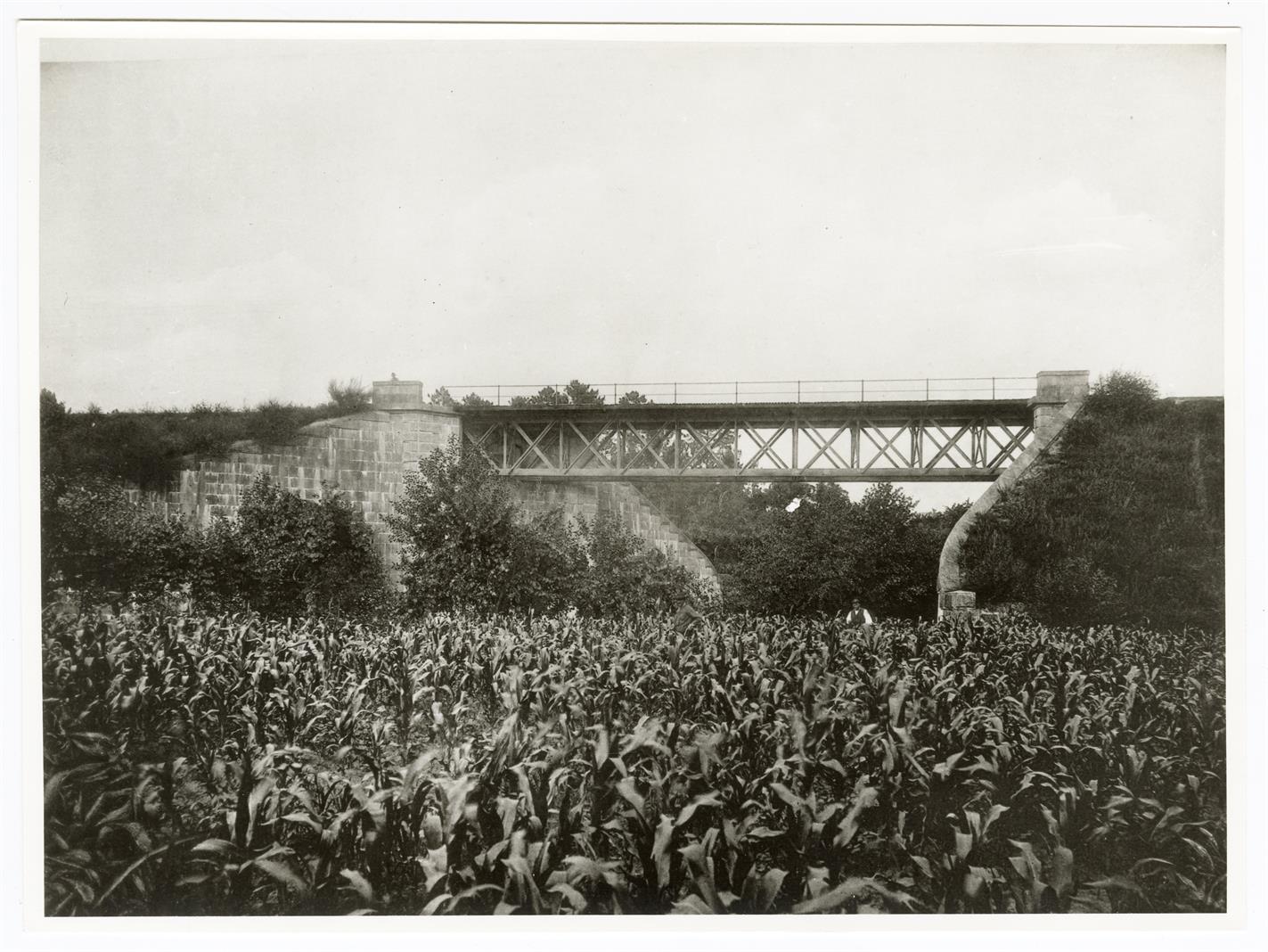 Comemorações do Centenário da Ponte Maria Pia : pontes metálicas
