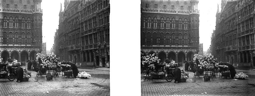 [Bruxelas : venda de flores na Grand-Place]