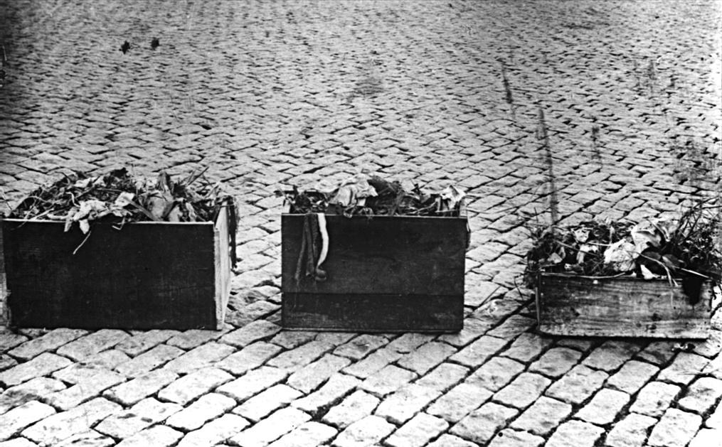 E... viva a limpeza! : o testemunho do Porto ao longo dos tempos : recipientes em madeira para a colocação de lixo nas ruas, 1929