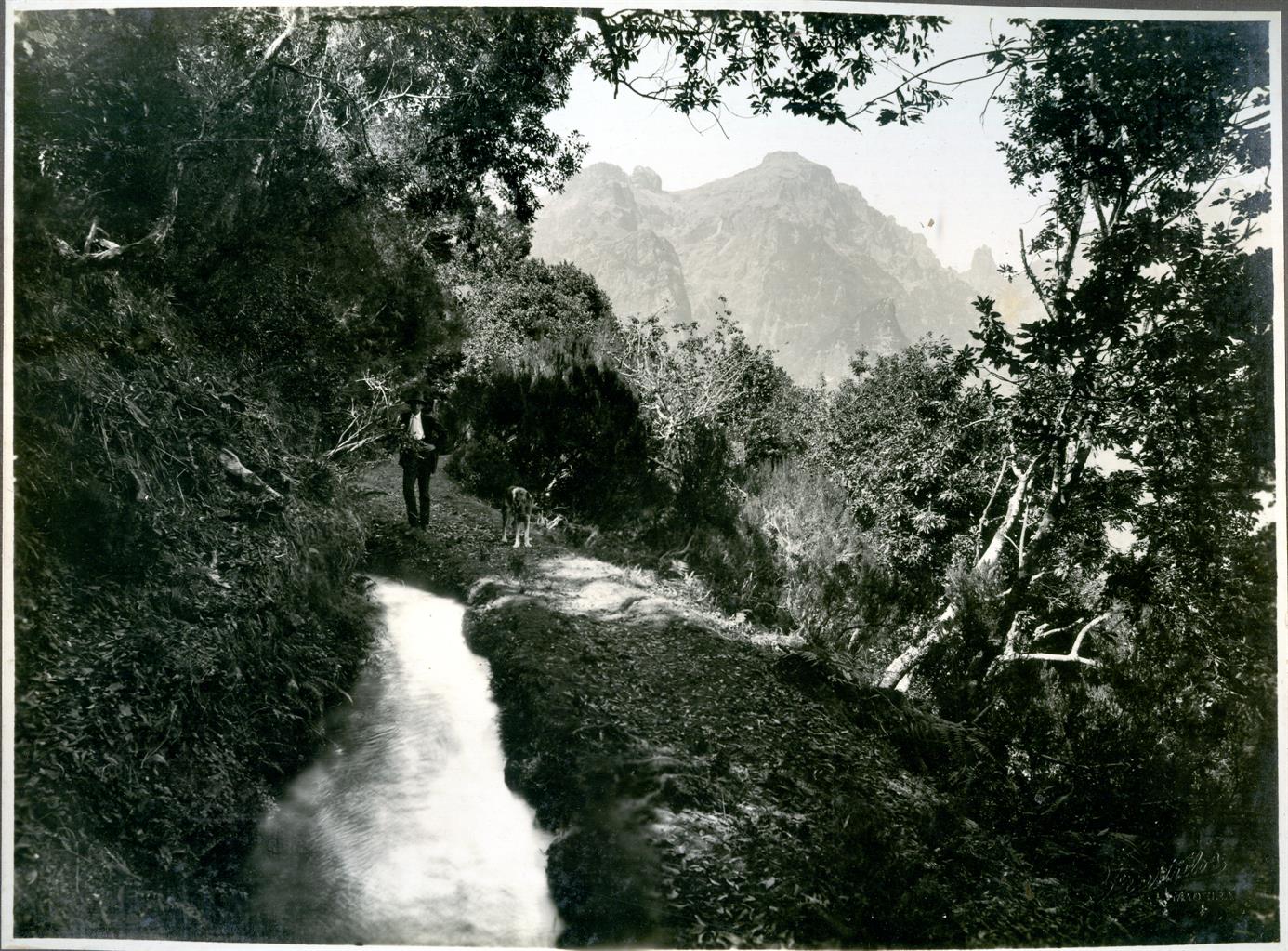 Album fotográfico da Madeira