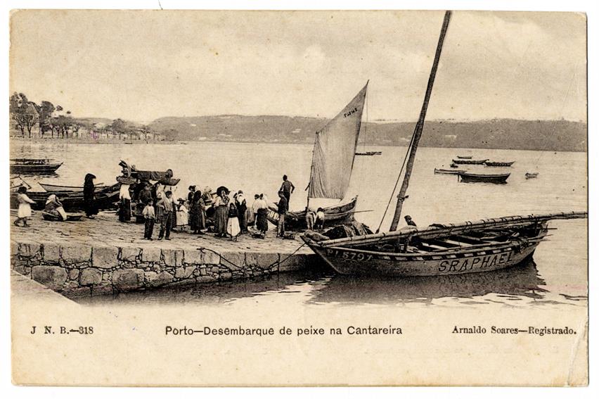Porto : desembarque de peixe na Cantareira