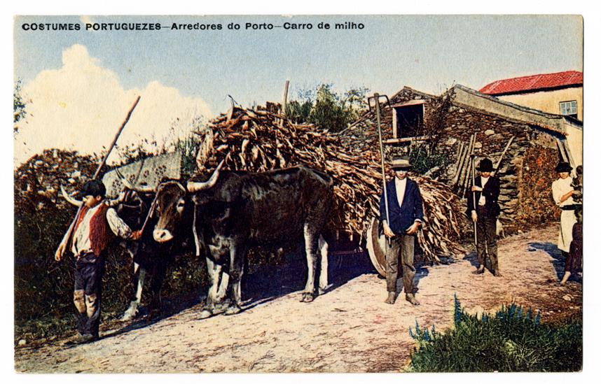 Costumes portugueses : arredores do Porto : carro de milho