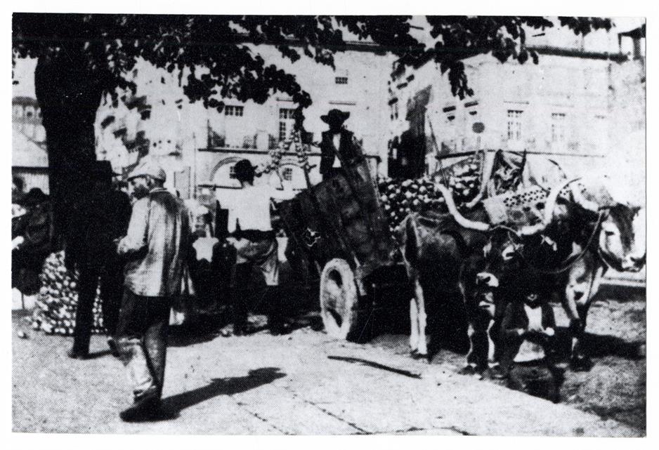 Descarga de cebolas na Ribeira : 1907