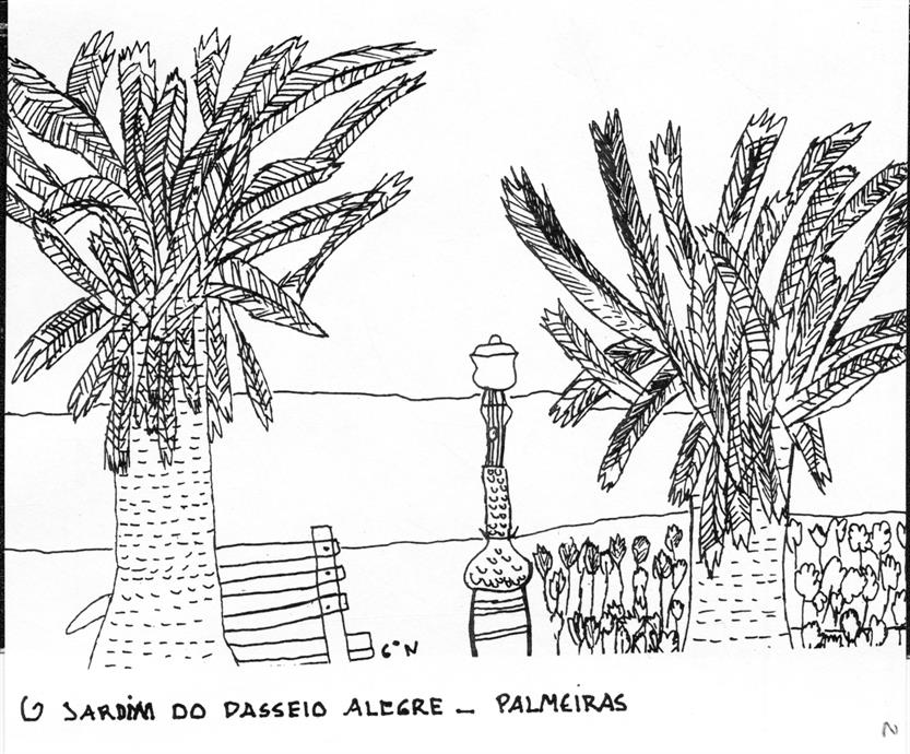O Jardim do Passeio Alegre : palmeiras