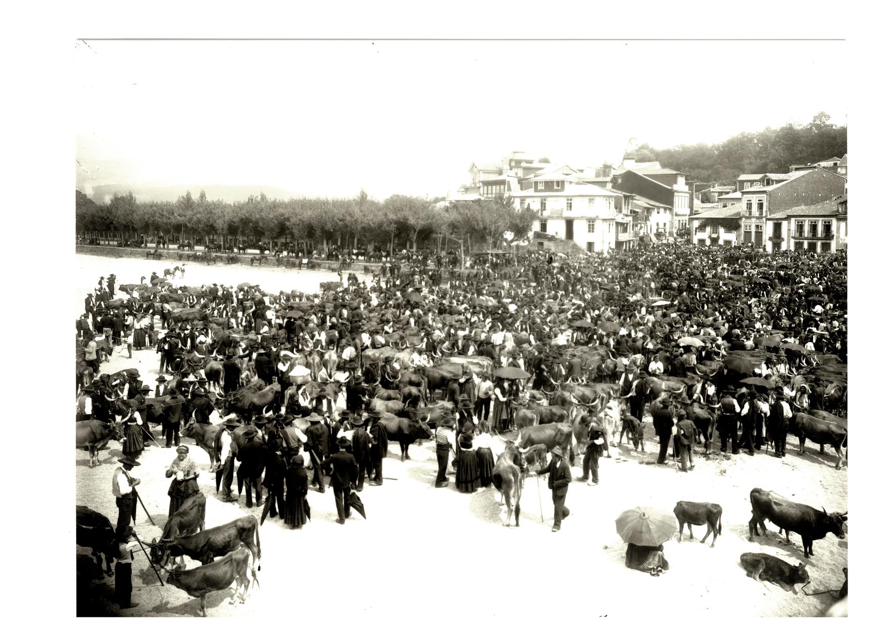 Ponte de Lima : feira do gado