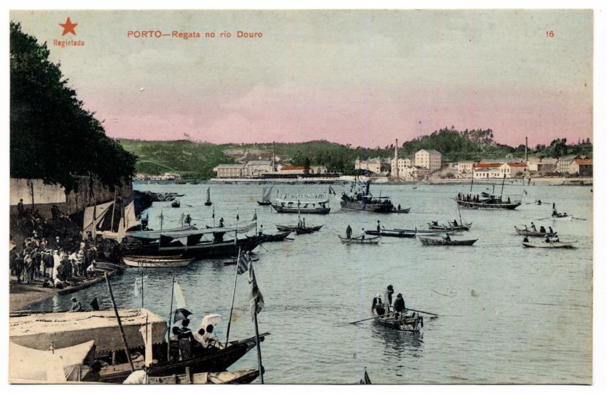 Porto : regata no Rio Douro