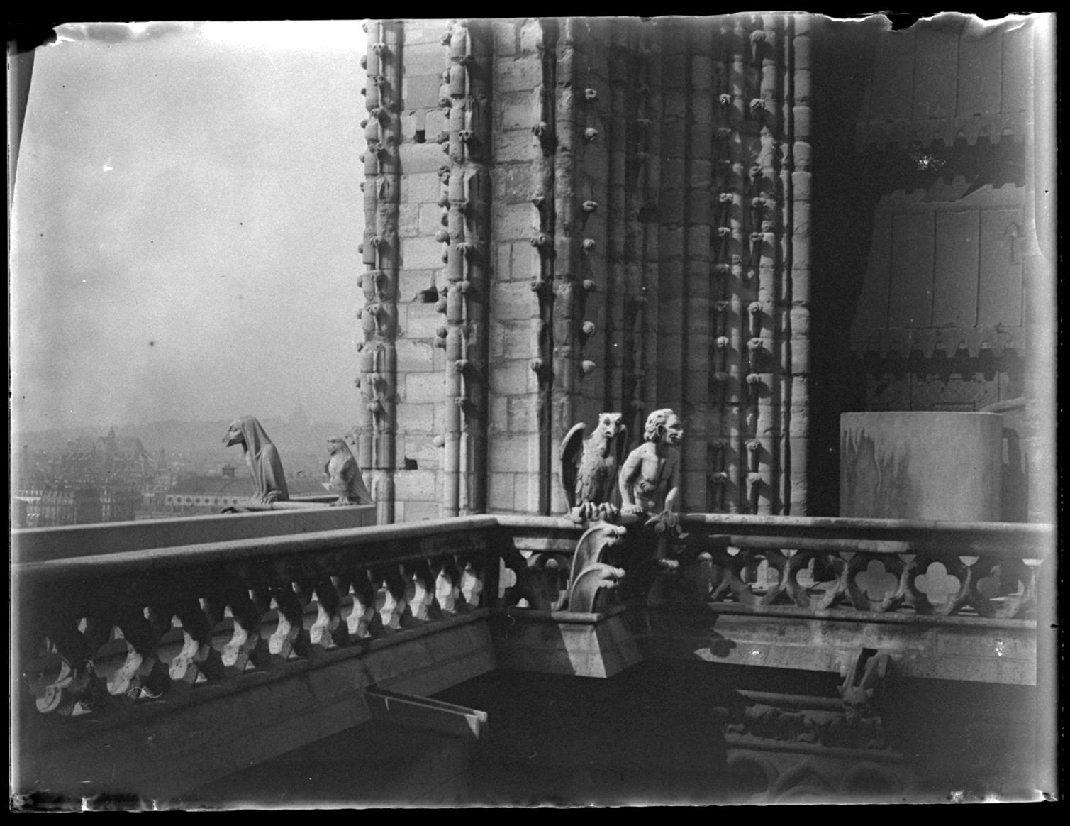 França : Catedral de Notre Dame de Paris : pormenor das gárgulas