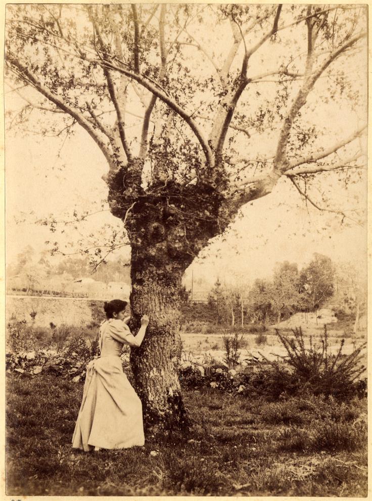 Mulher encostada a uma árvore
