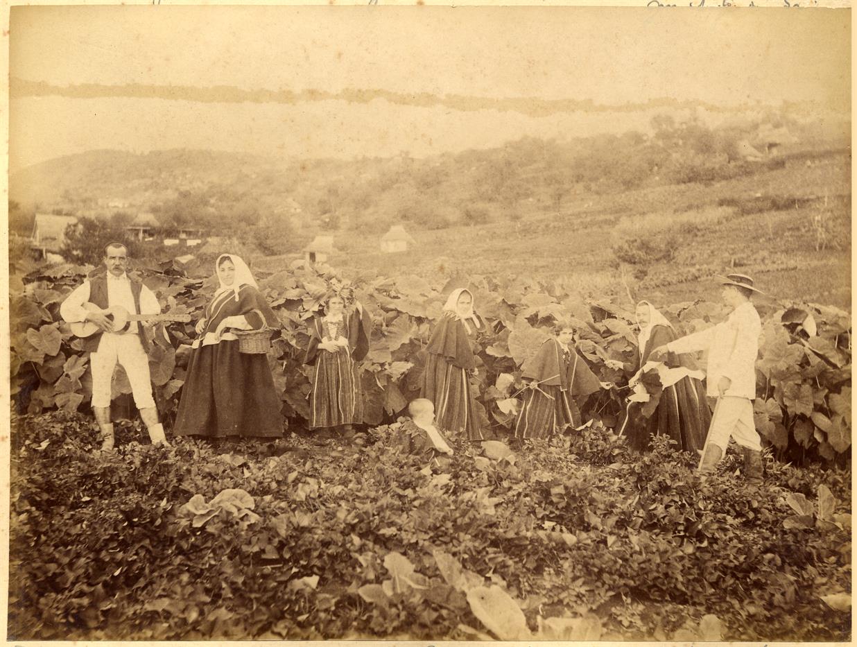 Grupo de Funchalenses com fotos de camponeses do Sul da Ilha