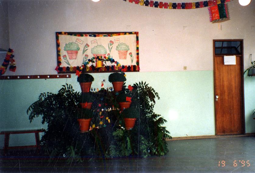 Cascata de São João na Escola E.B.1 nº. 48