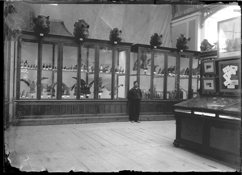 Exposição Agrícola de 1903 no Palácio de Cristal : stand de D. Carlos I